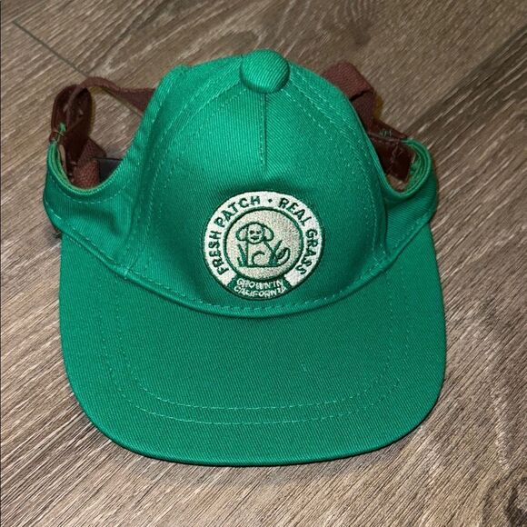 Dog Green Hat - Picture 1 of 2